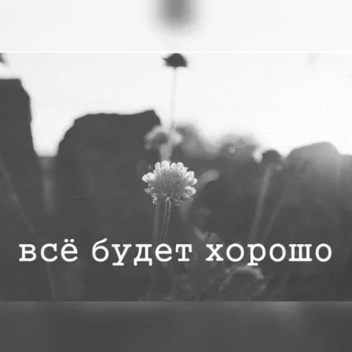 Эмодзи Кто тут конфеточка