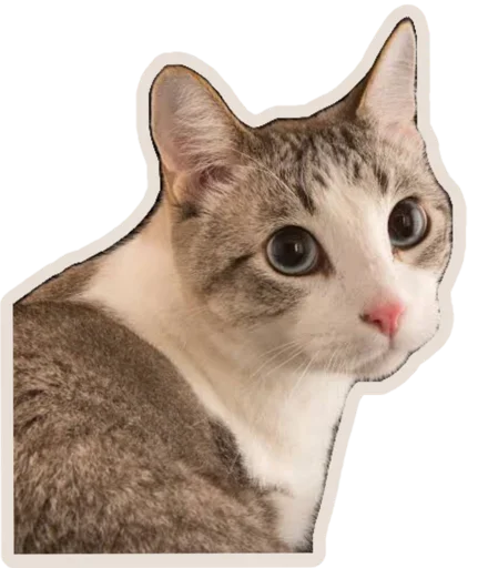 Эмодзи Kucing