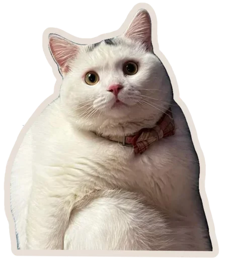 Эмодзи Kucing