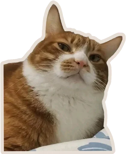 Эмодзи Kucing