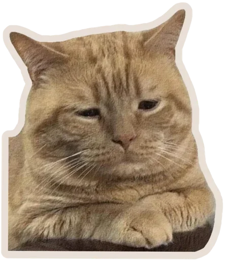 Эмодзи Kucing