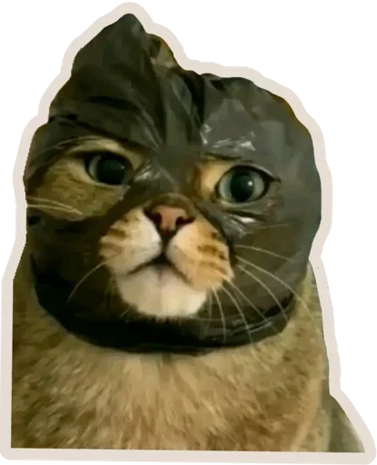 Эмодзи Kucing