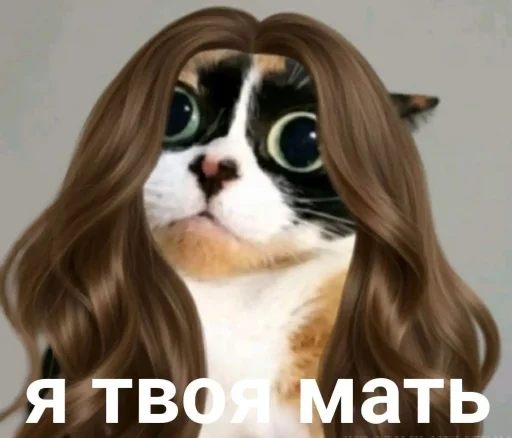 Эмодзи Куки что это блять?by DK