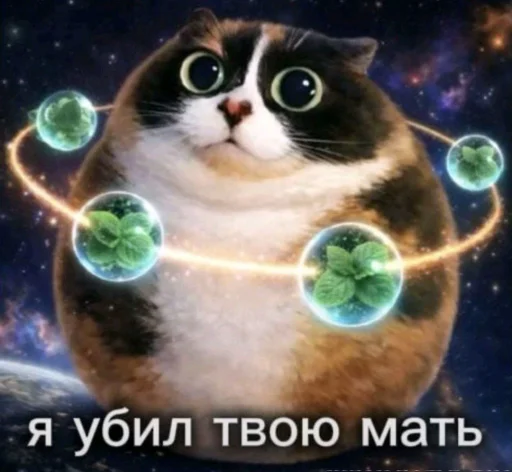 Эмодзи Куки что это блять?by DK