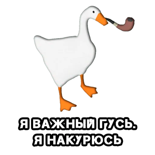 🚬