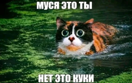 Эмодзи КУКI