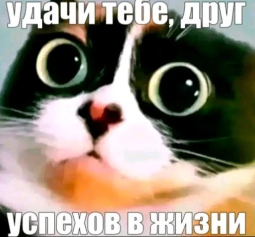Эмодзи КУКI