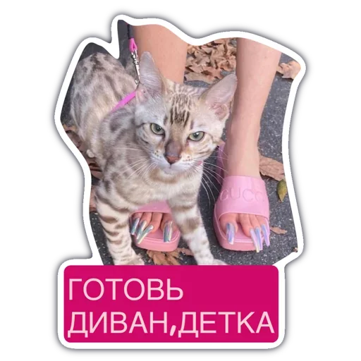 Эмодзи Готовь диван детка