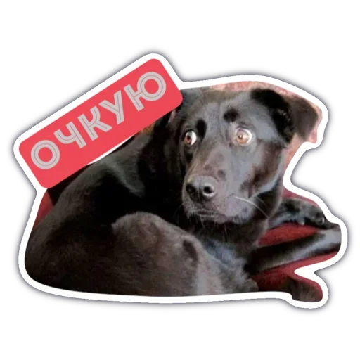 Эмодзи Готовь диван детка