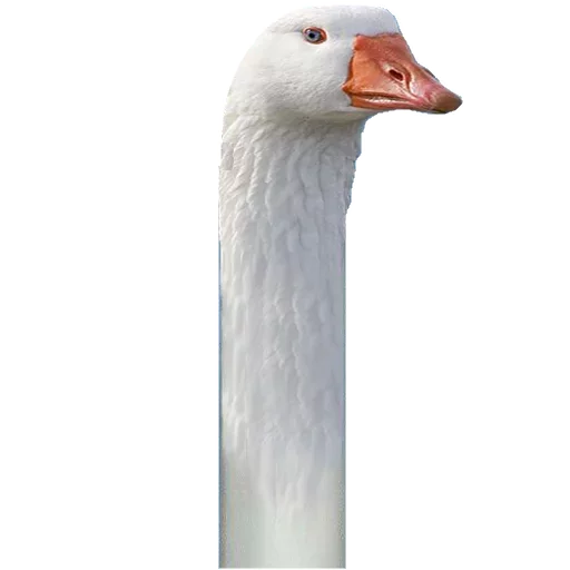 Эмодзи LOOOOOOOONG