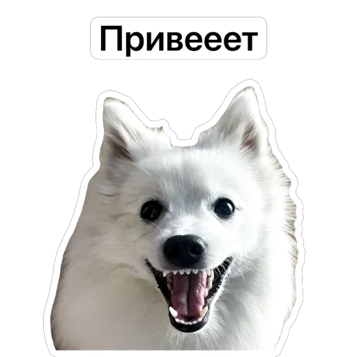 Эмодзи Nixie the Spitz