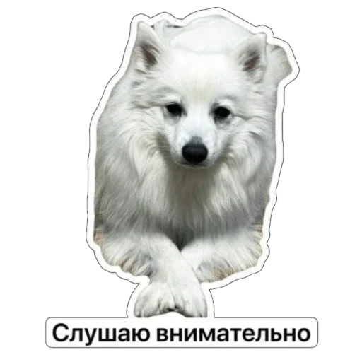 Эмодзи Nixie the Spitz