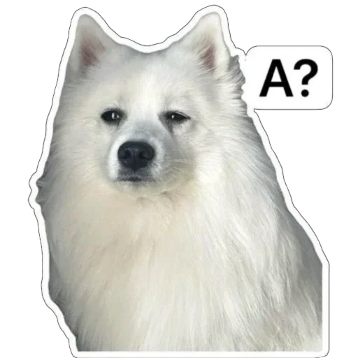 Эмодзи Nixie the Spitz