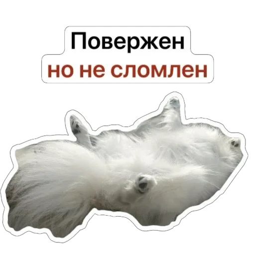 Эмодзи Nixie the Spitz