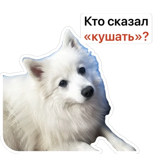 Эмодзи Nixie the Spitz