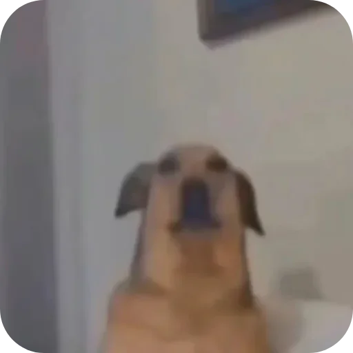 ☺