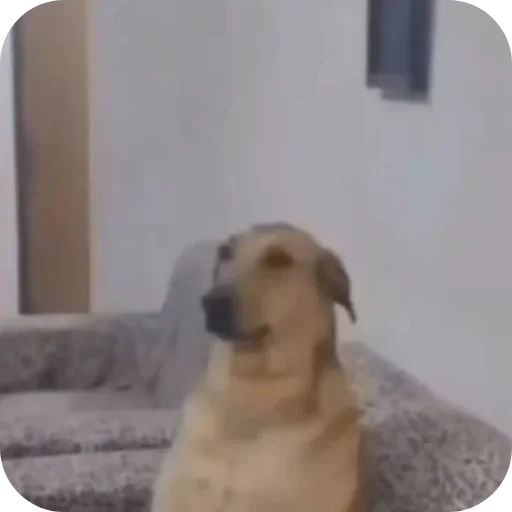 Эмодзи Ладно