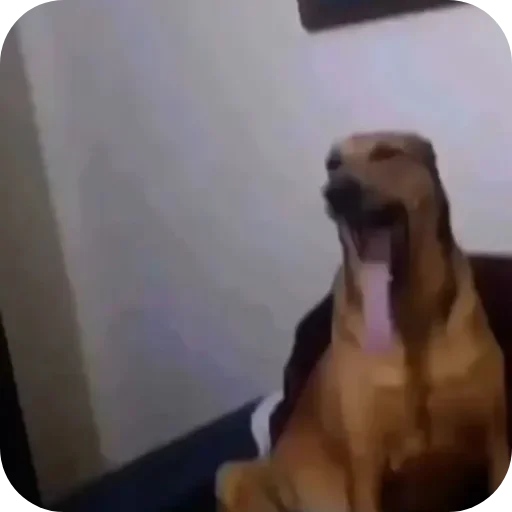 Эмодзи Ладно