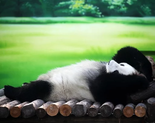 Эмодзи Lazy Panda