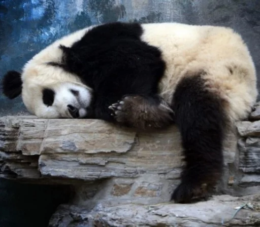 Эмодзи Lazy Panda