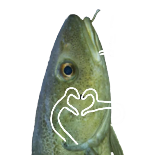 Эмодзи Le Dorsch magnifique