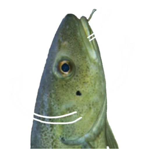 Эмодзи Le Dorsch magnifique