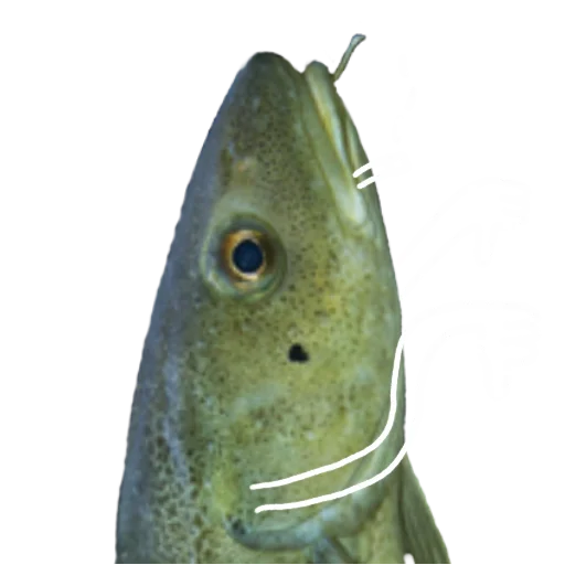 Эмодзи Le Dorsch magnifique