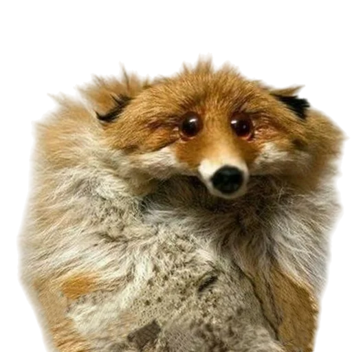 Эмодзи Лиса