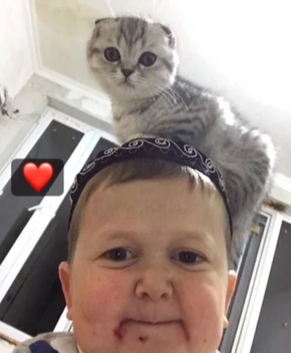 Эмодзи хасбик