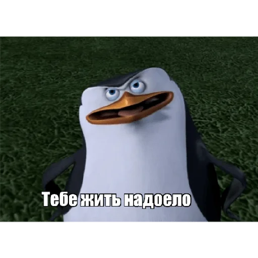 Эмодзи Пингвины