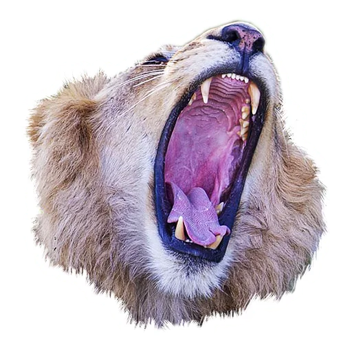 Эмодзи Lion life