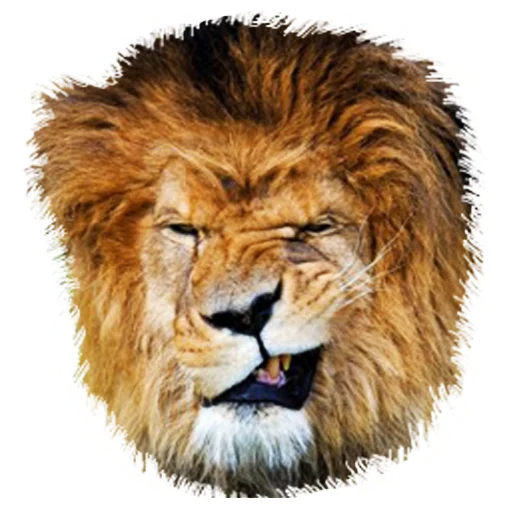 Эмодзи Lion life