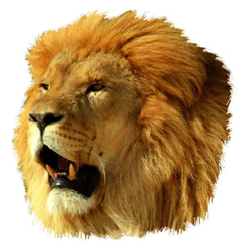 Эмодзи Lion life