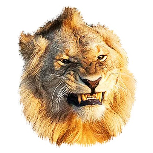 Эмодзи Lion life