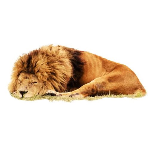 Эмодзи Lion life