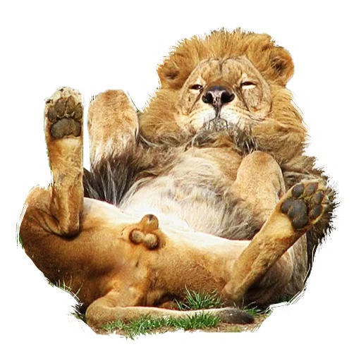 Эмодзи Lion life