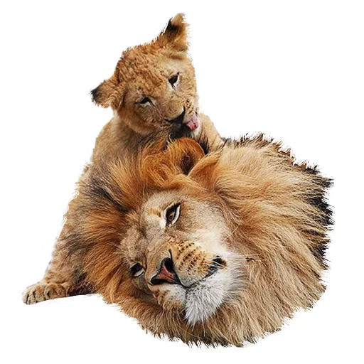 Эмодзи Lion life
