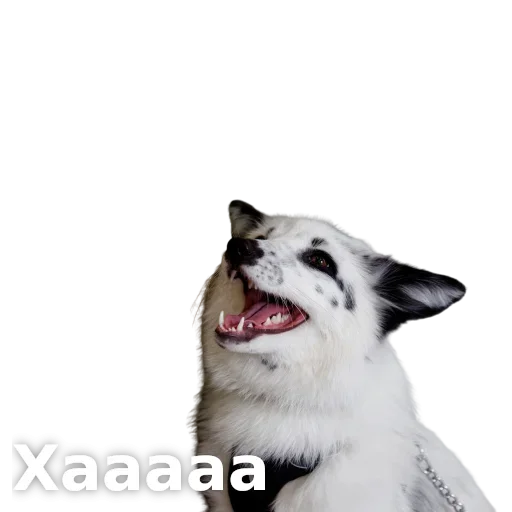 Эмодзи ЛисичкоПак