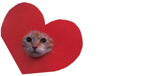 Эмодзи Little Kitties