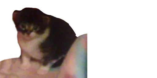 Эмодзи Little Kitties