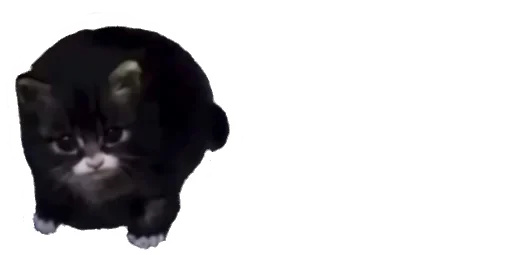 Эмодзи Little Kitties