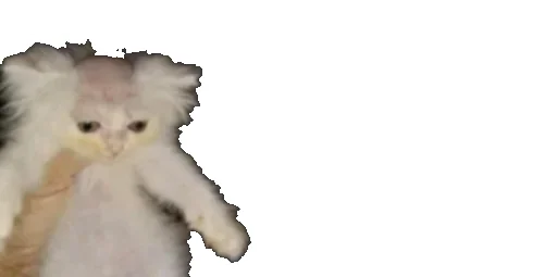 Эмодзи Little Kitties