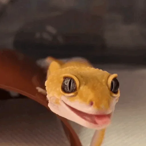 Эмодзи Lizard Boy