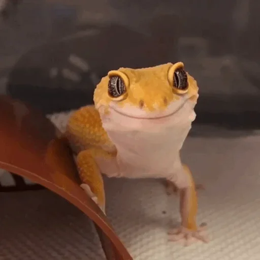 Эмодзи Lizard Boy