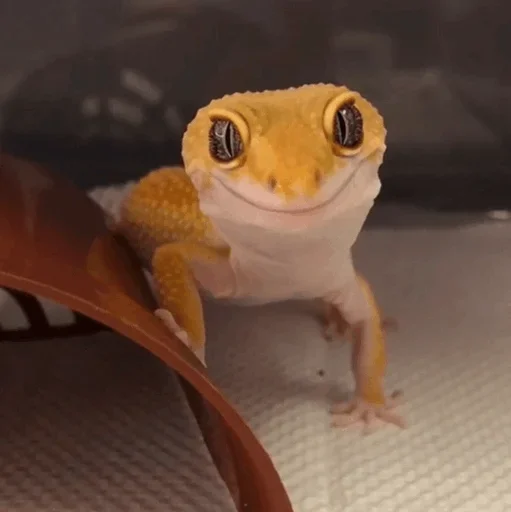 Эмодзи Lizard Boy