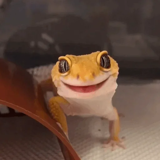 Эмодзи Lizard Boy