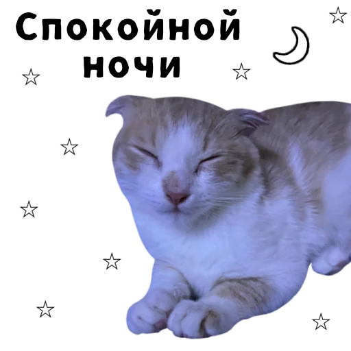 Эмодзи LIZER