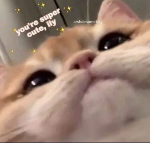 Эмодзи Абьюзер