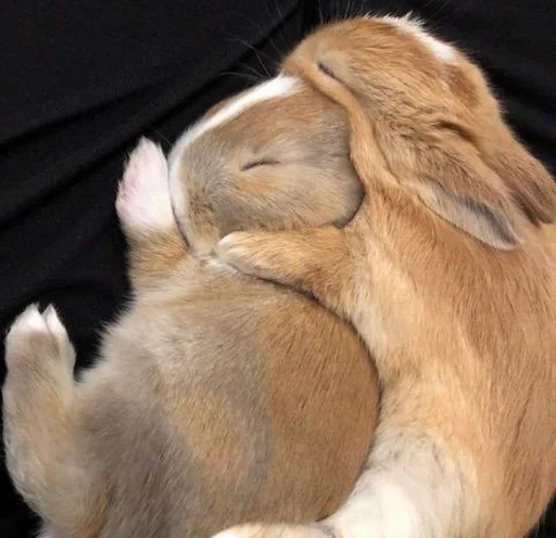 Эмодзи Абьюзер