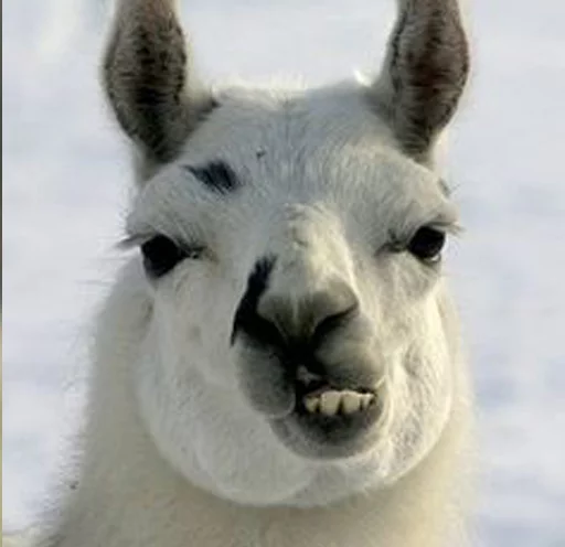 Эмодзи Llama Drama